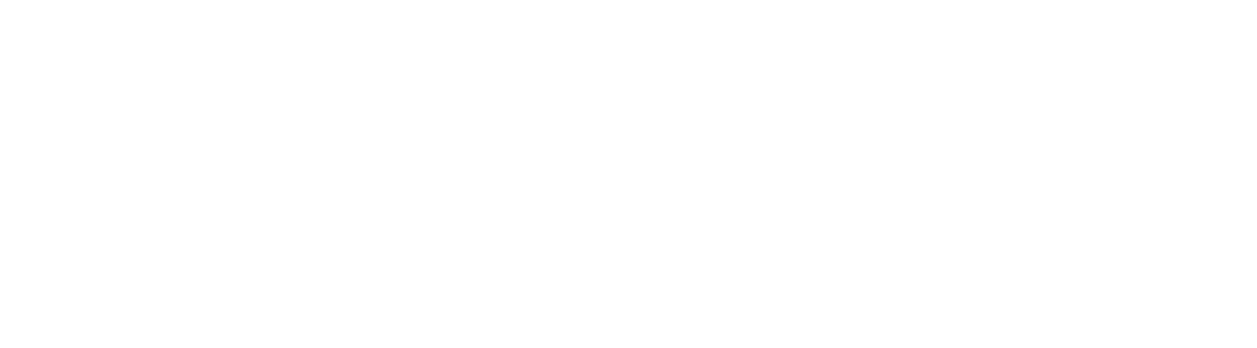ISM Services Inc Logo - White Reverse@2x
